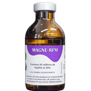 Magne